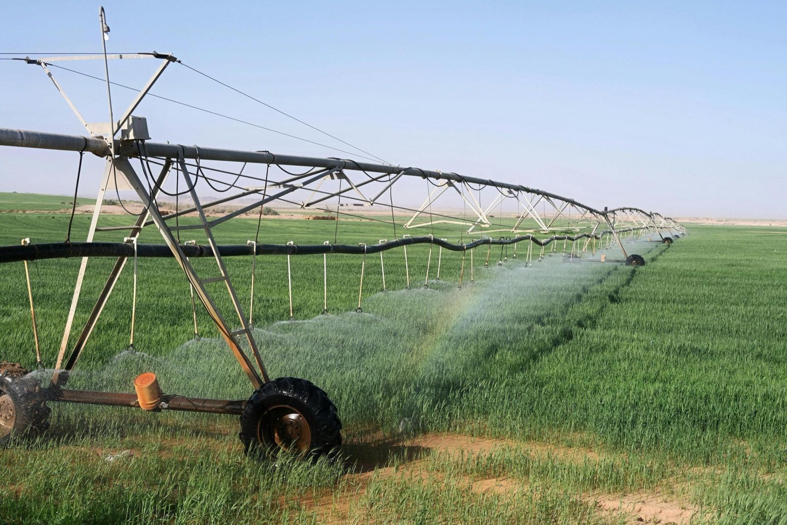 Precision Irrigation System
