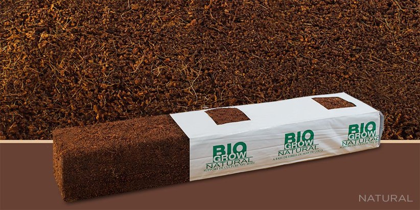 Premium Coco Peat Products