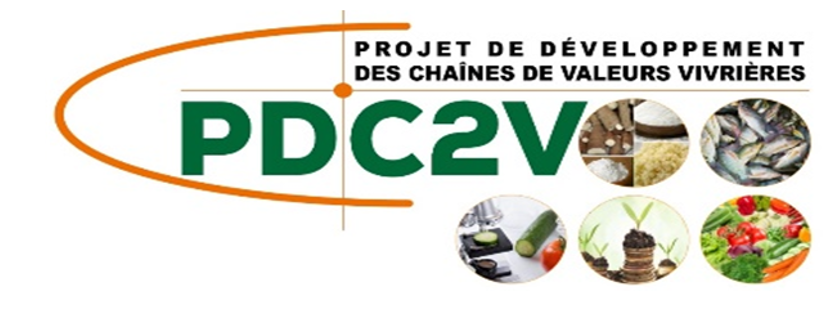 PDC2V logo
