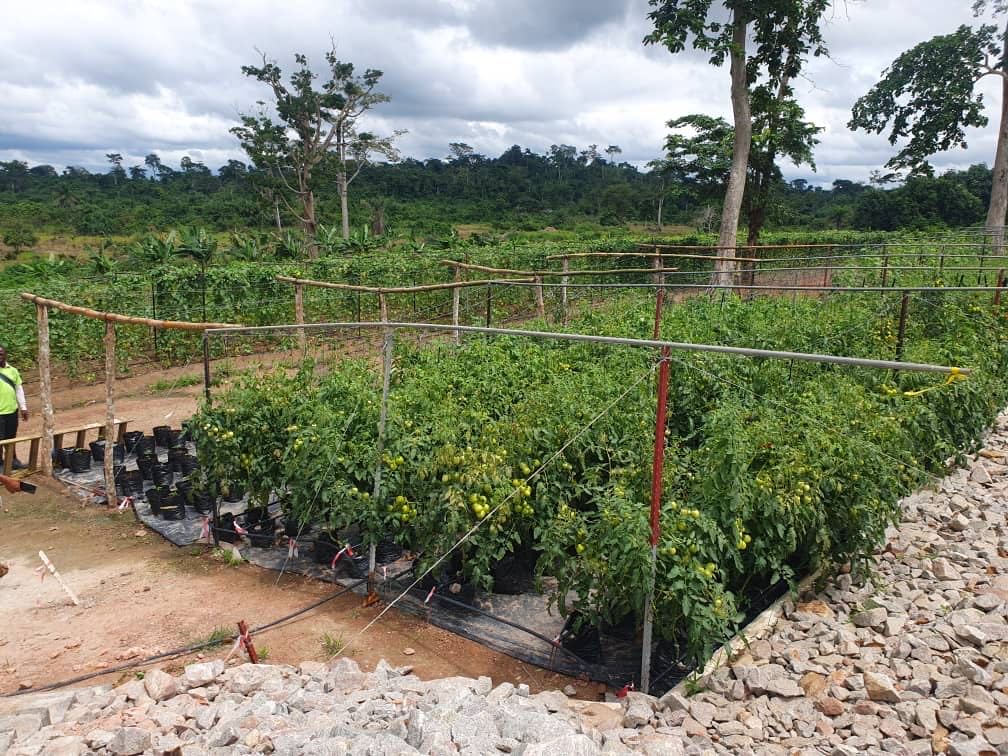 Turnkey Farm Projects