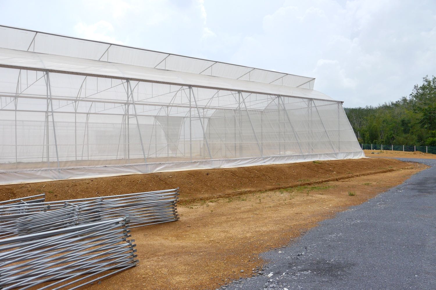 Agricultural Projects