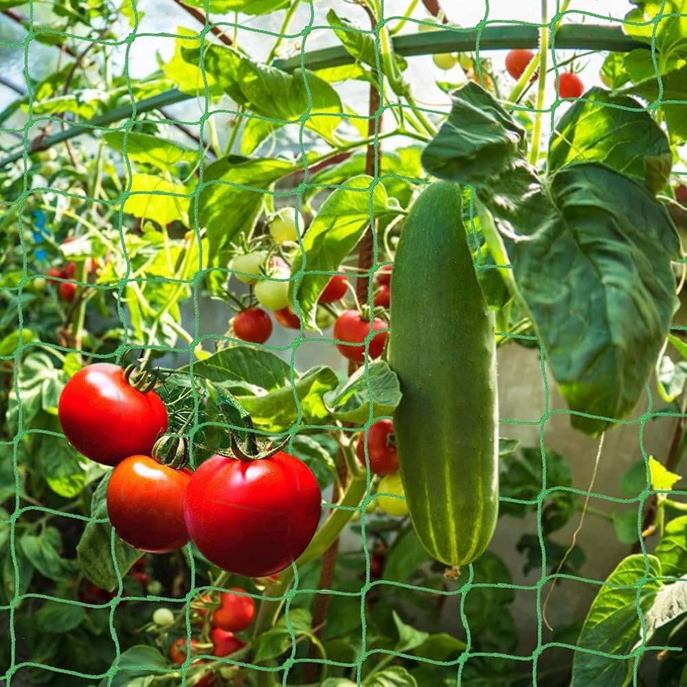 Trellis Support System