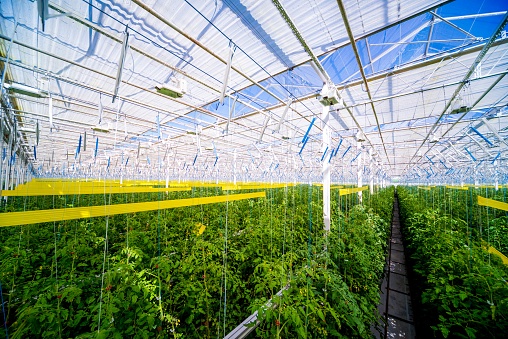 Professional Greenhouse Components
