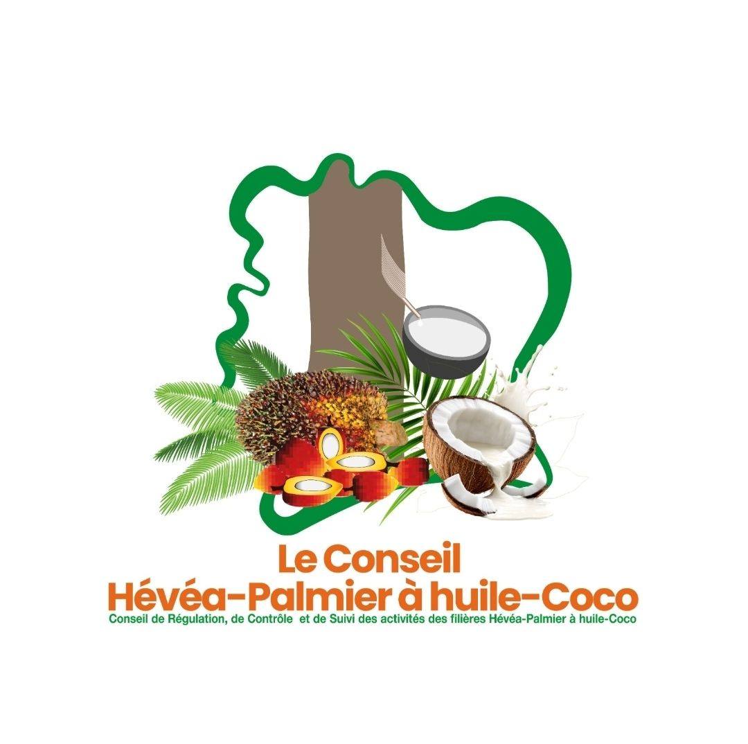 Conseil Hévéa Palmier logo